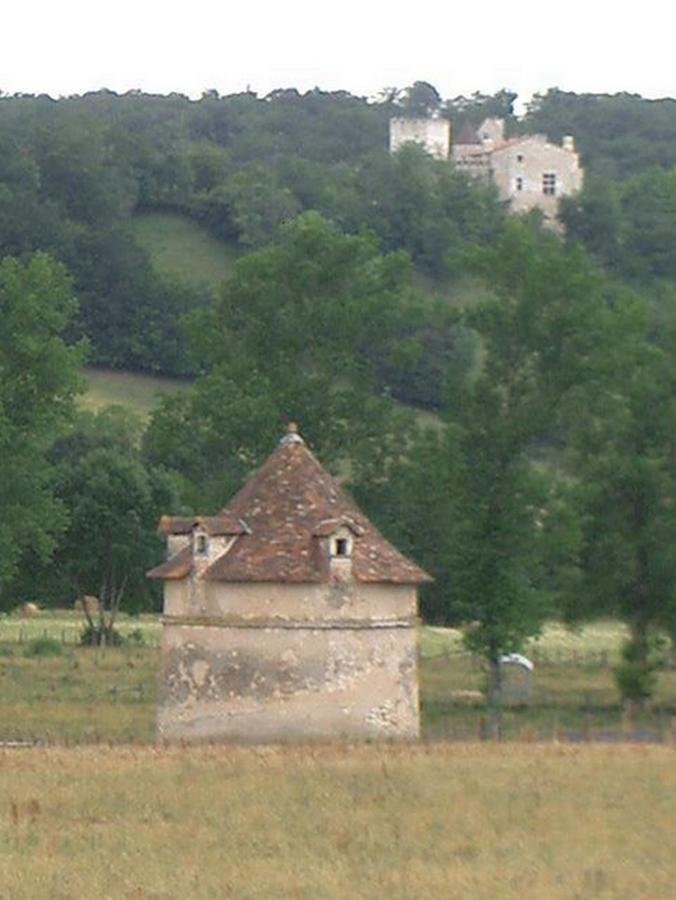 Hotel Le Relais Du Chateau Grignols  Exterior foto