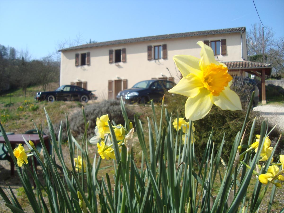 Hotel Le Relais Du Chateau Grignols  Exterior foto