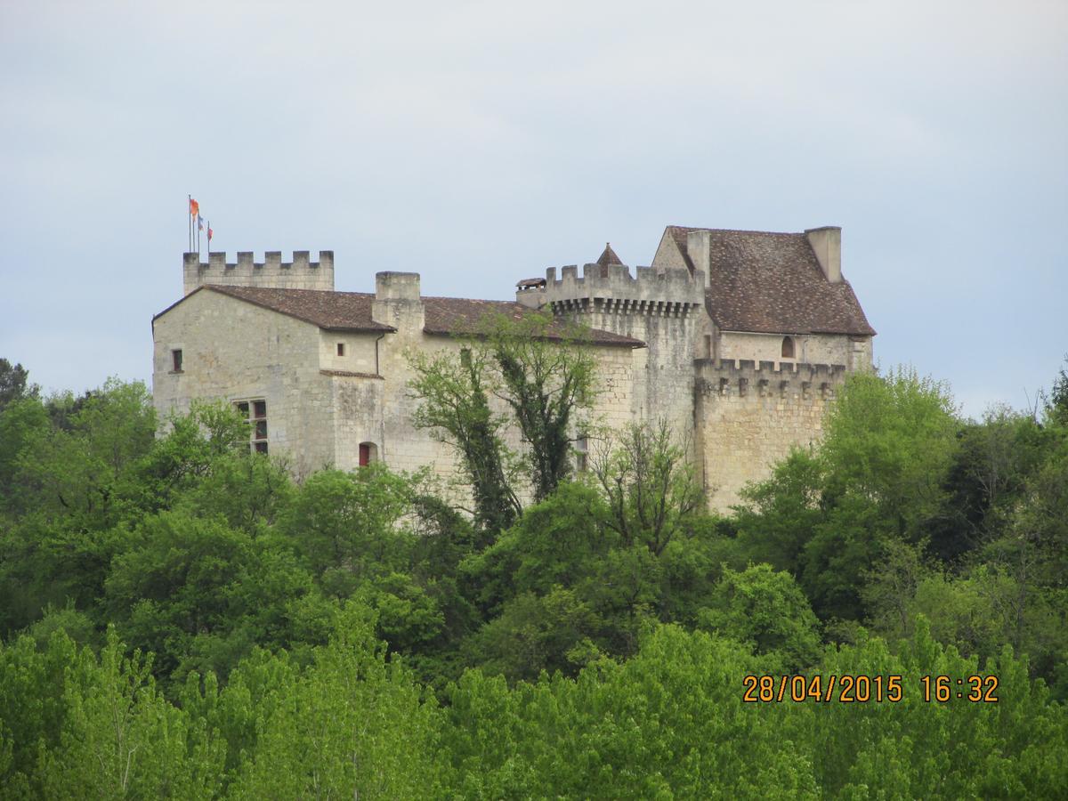 Hotel Le Relais Du Chateau Grignols  Exterior foto