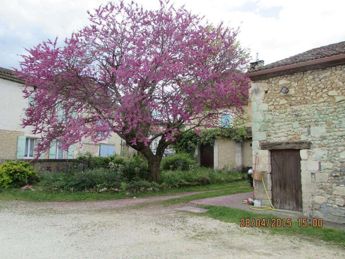 Hotel Le Relais Du Chateau Grignols  Exterior foto